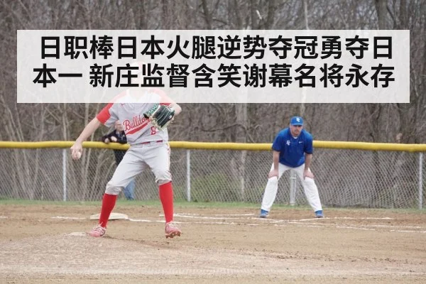 baseball game action